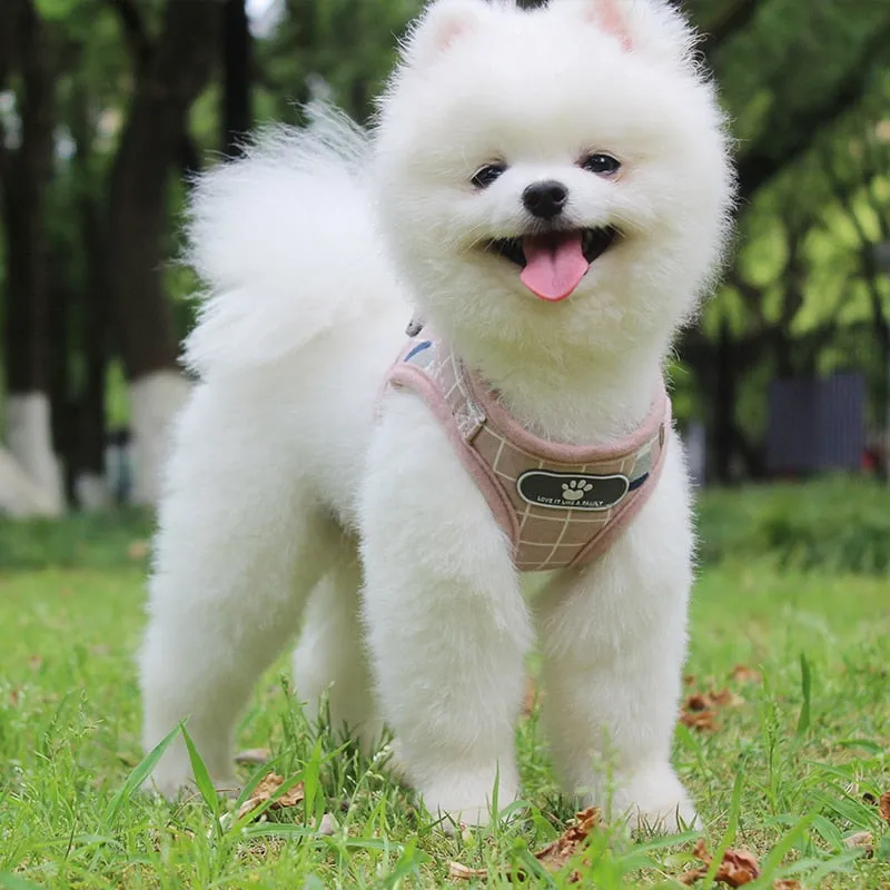 Cute Pet Reflective Breathable Mesh Vest Harnesses Leash