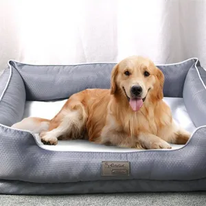Dog Beds - Soft and Cozy- Coating Non Removable